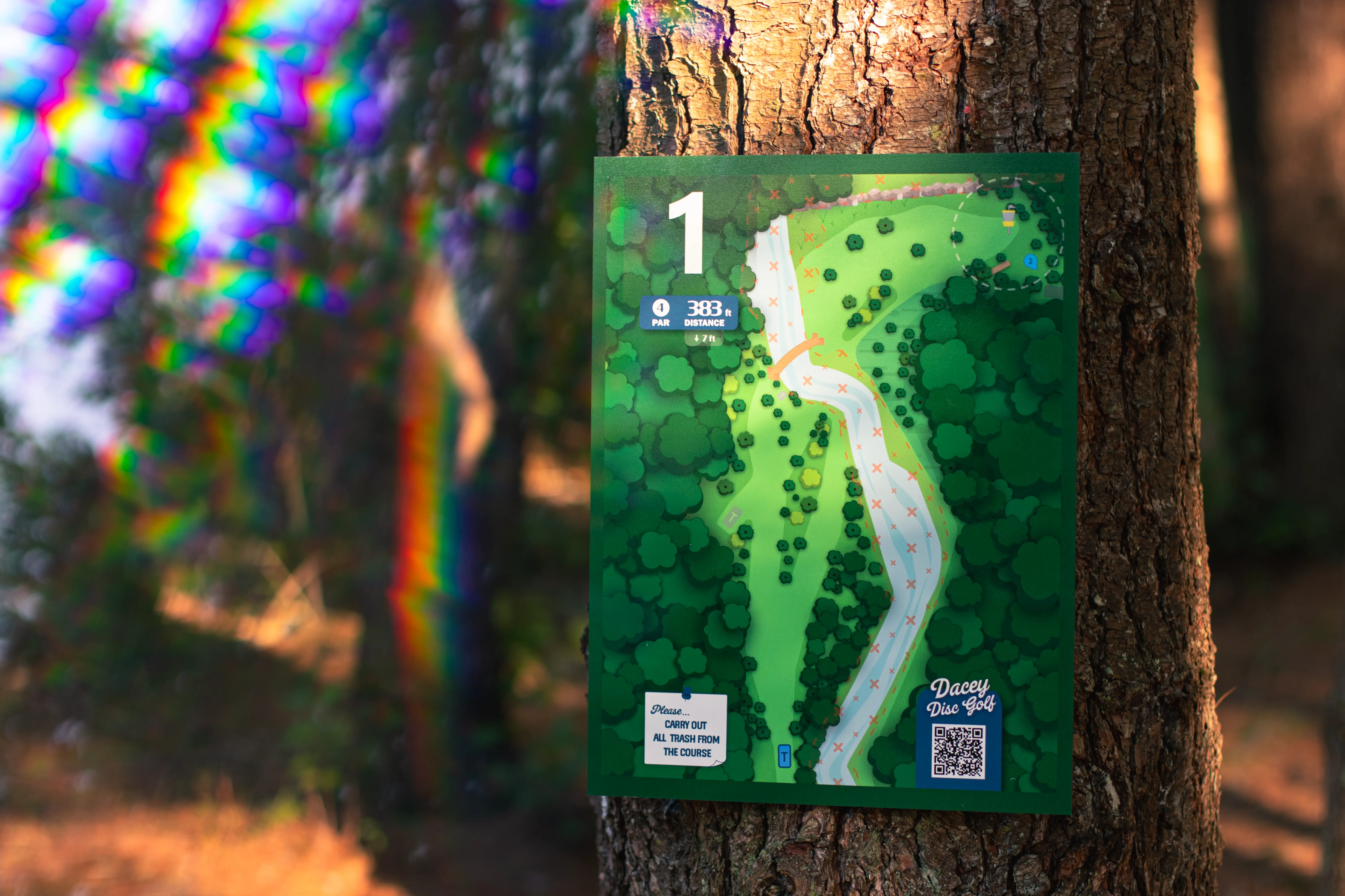 Disc Golf Design